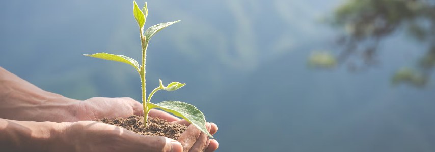 Balancing Use and Conservation